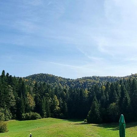 Planinski Dom Na Travni Gori Sodrazica Экстерьер фото