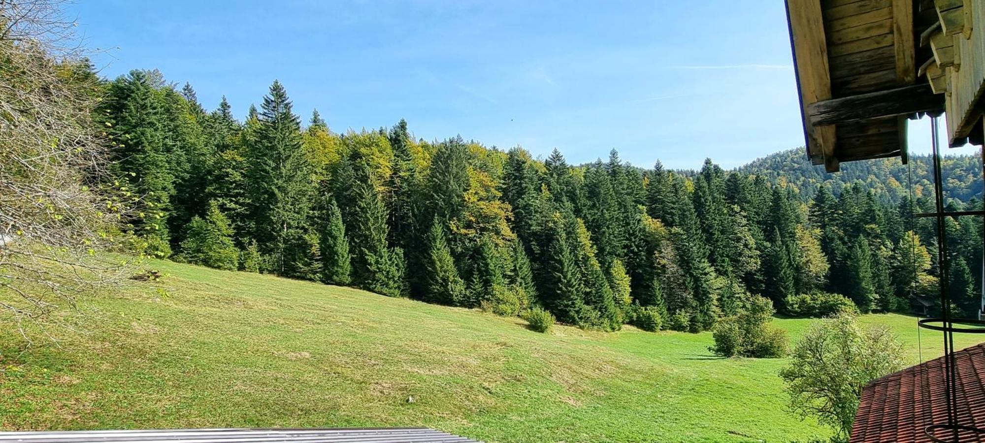 Planinski Dom Na Travni Gori Sodrazica Экстерьер фото