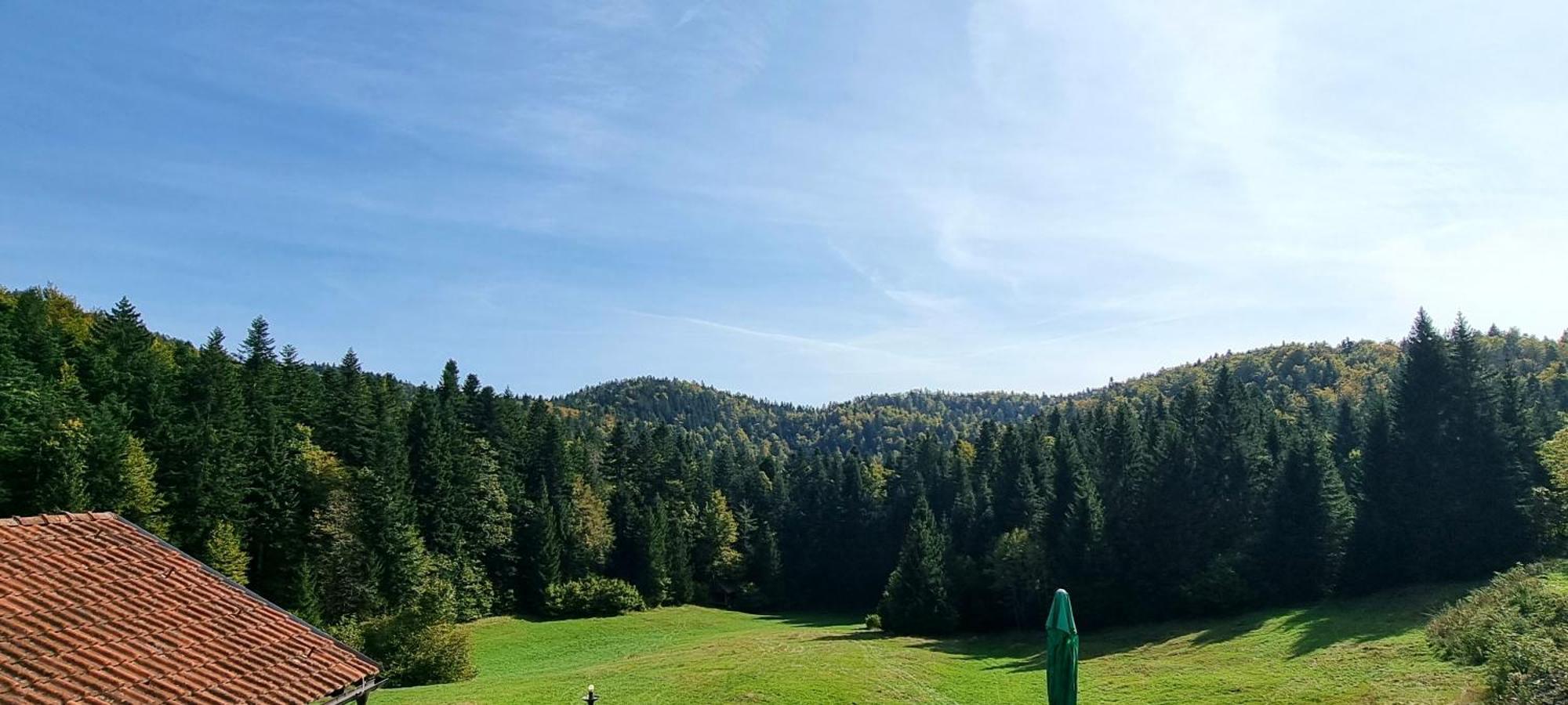 Planinski Dom Na Travni Gori Sodrazica Экстерьер фото